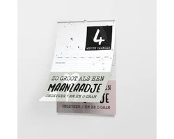 Aftelkalender zwangerschap - Zwangerschap aftelkalender - Zwangerschapsaftelkalender - Zwanger cadeau - 9 maanden aftelkalender - Aftelkalender zwangerschap kinderen - Cadeau zwangere vrouw - Zwangerschapskalender - Zebrapaardje