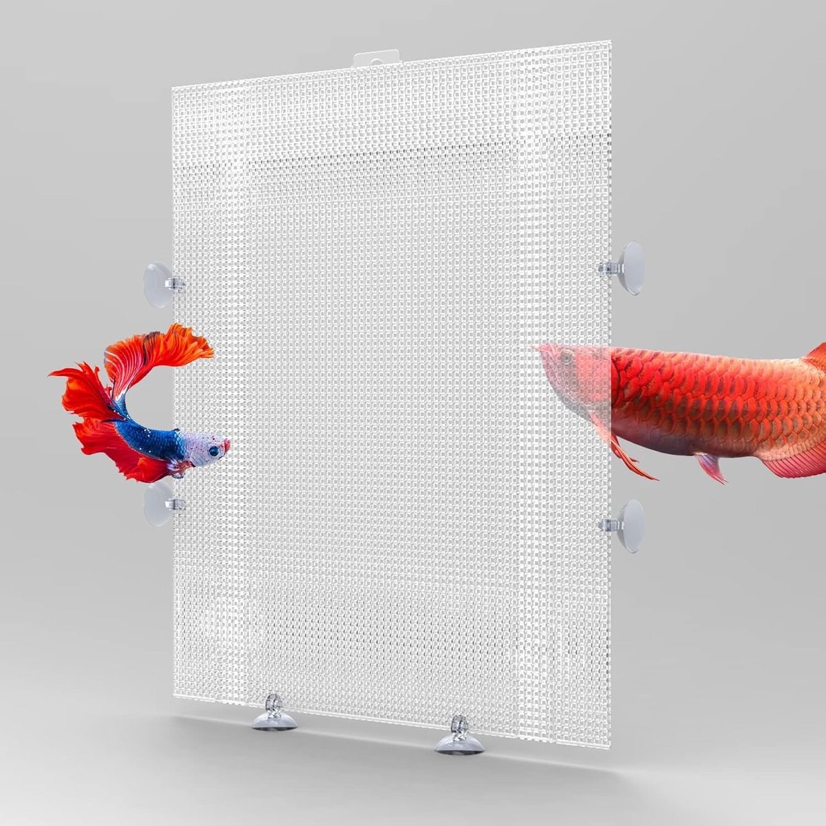 Aquarium Scheidingswand - 2 Stuks Kunststof Rooster Plaat met Zuignappen - Transparante Verdeler voor Aquaria 26 x 33