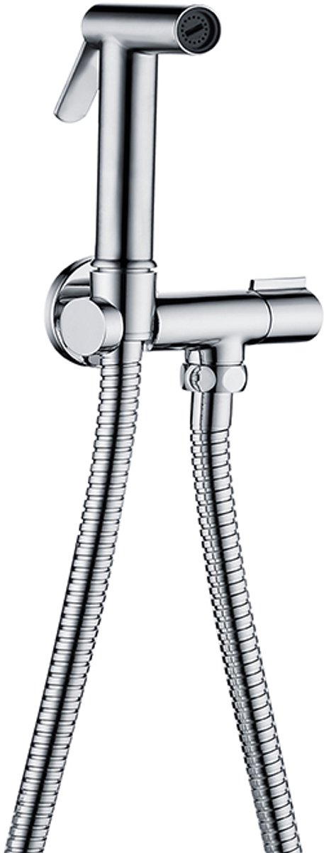 Classic Bidet Hand douche set - Hand shower - RVS - incl houder / holder