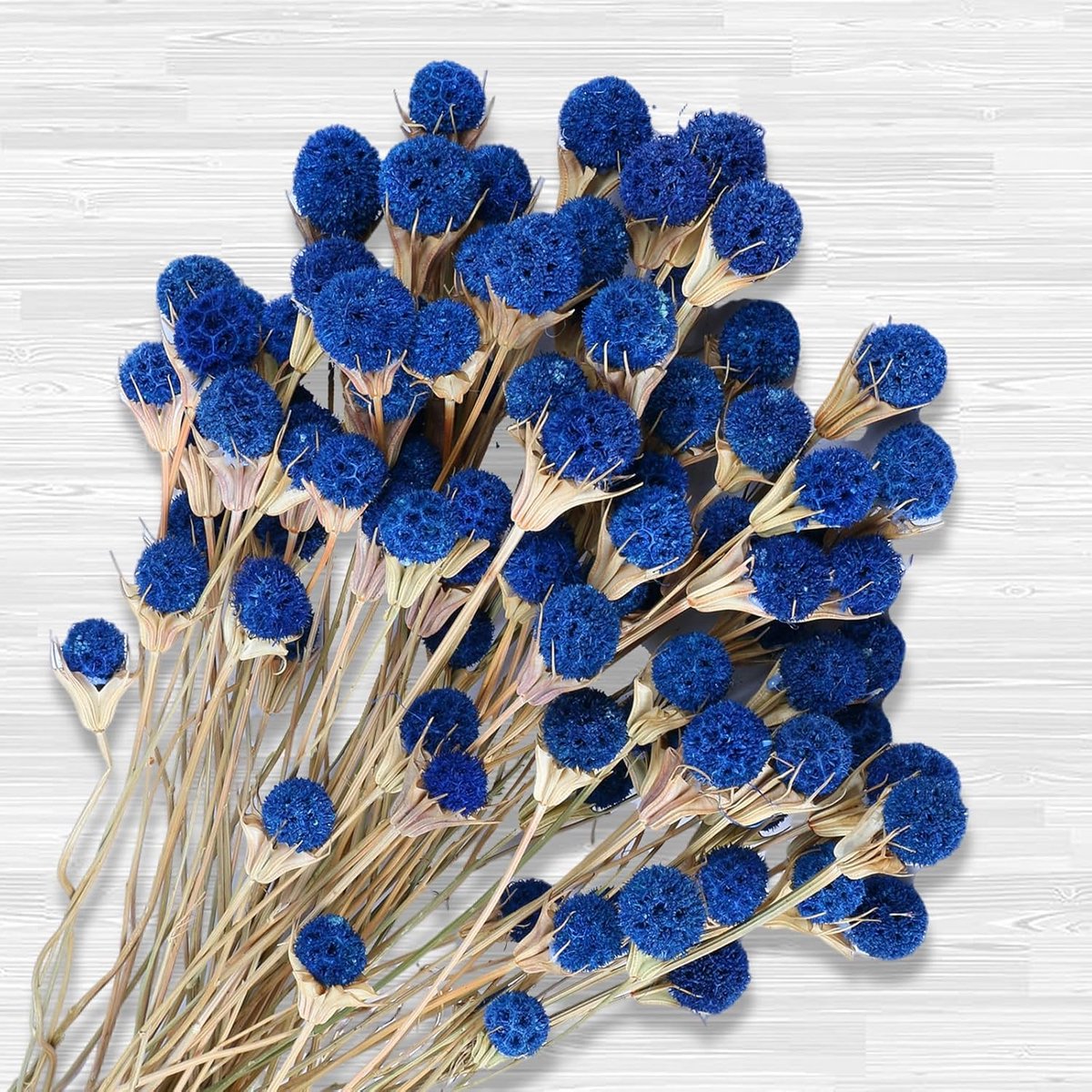 50 Stuks Gedroogde Blauwe Distelbloemen voor Boeketten en Bloemschikken (43 cm)