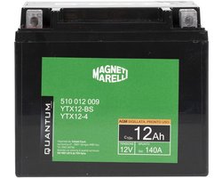Motor & Scooter Accu 12V 12AH 140A AGM Verzegeld - Linker + Pool