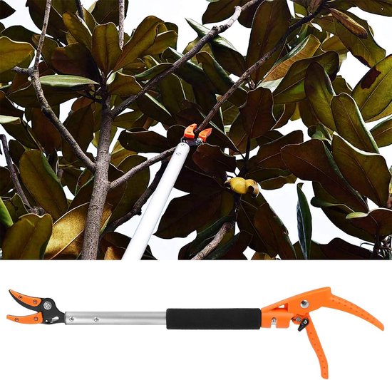 Takkensnijder met 90 Graden Draaibare Handgreep en Lange Steel voor Fruitplukken en Snoeien in Tuin. van Merkloos	 — afbeelding 3
