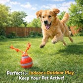 6Interactief hondenspeelgoed - Hondenbal - Elektrisch automatisch rollend hondenspeelgoed - Met touw en vogelgeluiden - Geschikt voor kleine en middelgrote honden - Leuk en educatief puppyspeelgoed - Verlicht verveling en stimuleert training - Oranje
