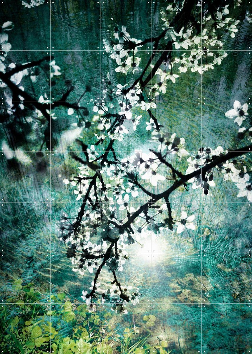 IXXI Blooms over Water, Angelo Cerantola - 100 x 140 cm - Gratis ophangtool - Grote wanddecoratie en posters - Fotografie, Bloemen, Landschappen