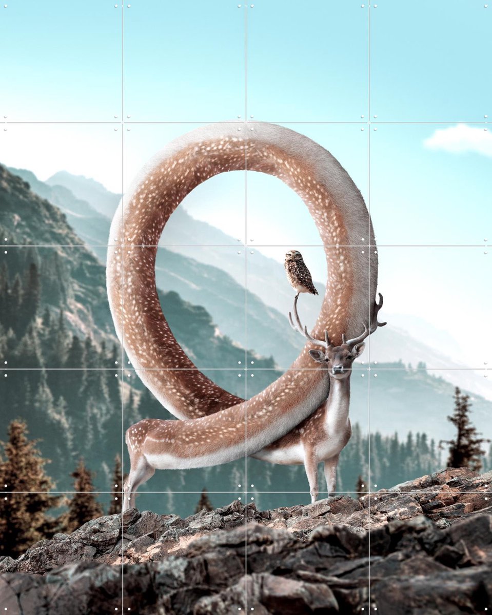 IXXI Infinideer, Julien Tabet - 80 x 100 cm - Gratis ophangtool - Grote wanddecoratie en posters - Fotografie, Speels, Natuur