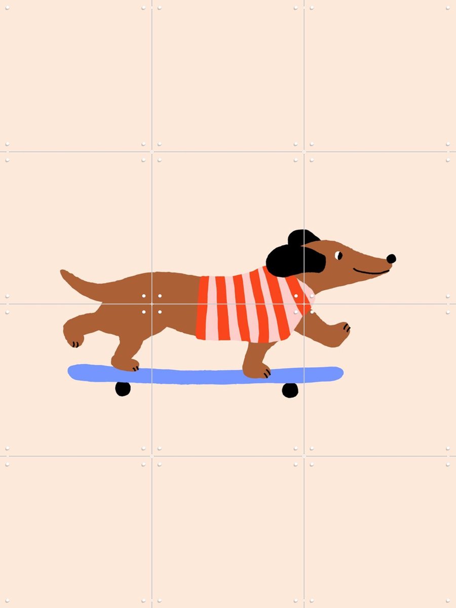 IXXI Dachshund on Skateboard, Maren Gross & Various - 60 x 80 cm - Gratis ophangtool - Grote wanddecoratie en posters - Illustraties, Cartoonesk