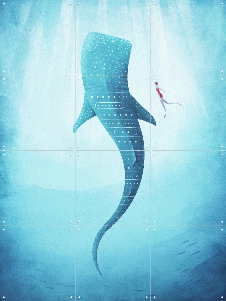 IXXI Whale Shark, Henry Rivers - 60 x 80 cm - Gratis ophangtool - Grote wanddecoratie en posters - Kleurrijk, Mancave, Wilde dieren, Surfen, Zomer