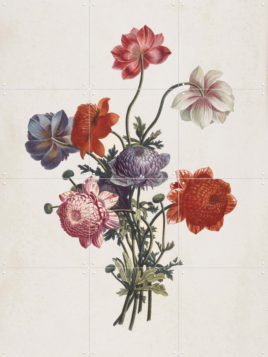 IXXI Bouquet of Anemones, Louis Charles Ruotte & Museum of Fine Arts Boston - 60 x 80 cm - Gratis ophangtool - Grote wanddecoratie en posters -
