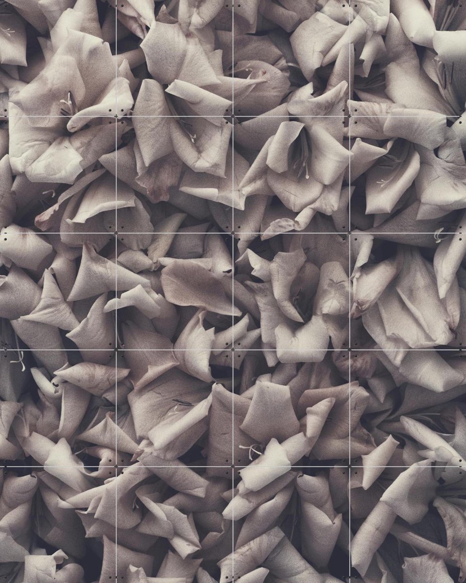 IXXI Eternum, STUDIO HANNAH LEMHOLT - 80 x 100 cm - Gratis ophangtool - Grote wanddecoratie en posters - Fotografie, Minimalisme, Slaapkamer