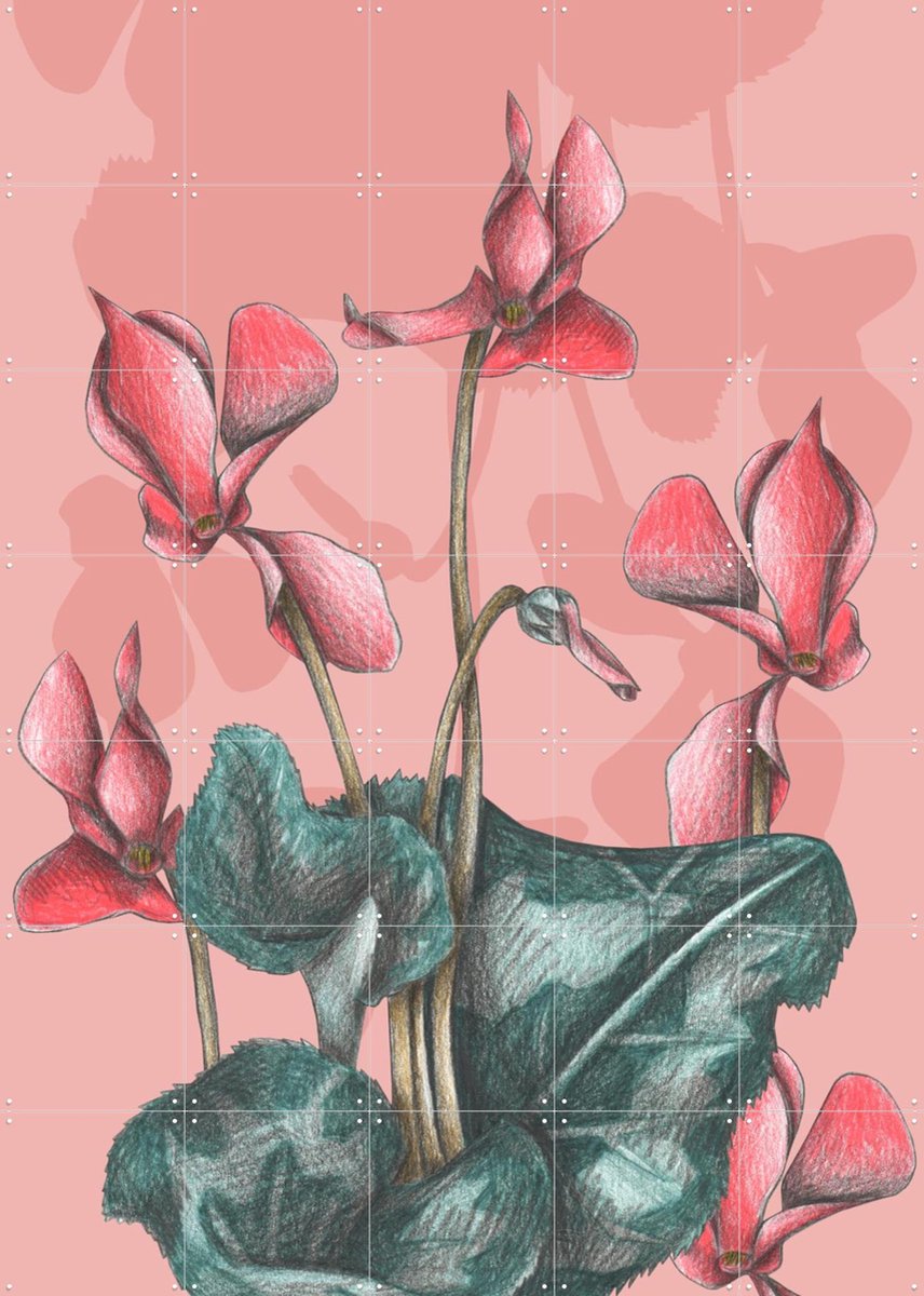 IXXI Cyclamens, Cecilia Battaini - 100 x 140 cm - Gratis ophangtool - Grote wanddecoratie en posters - Tekeningen, Illustraties, Naturalisme