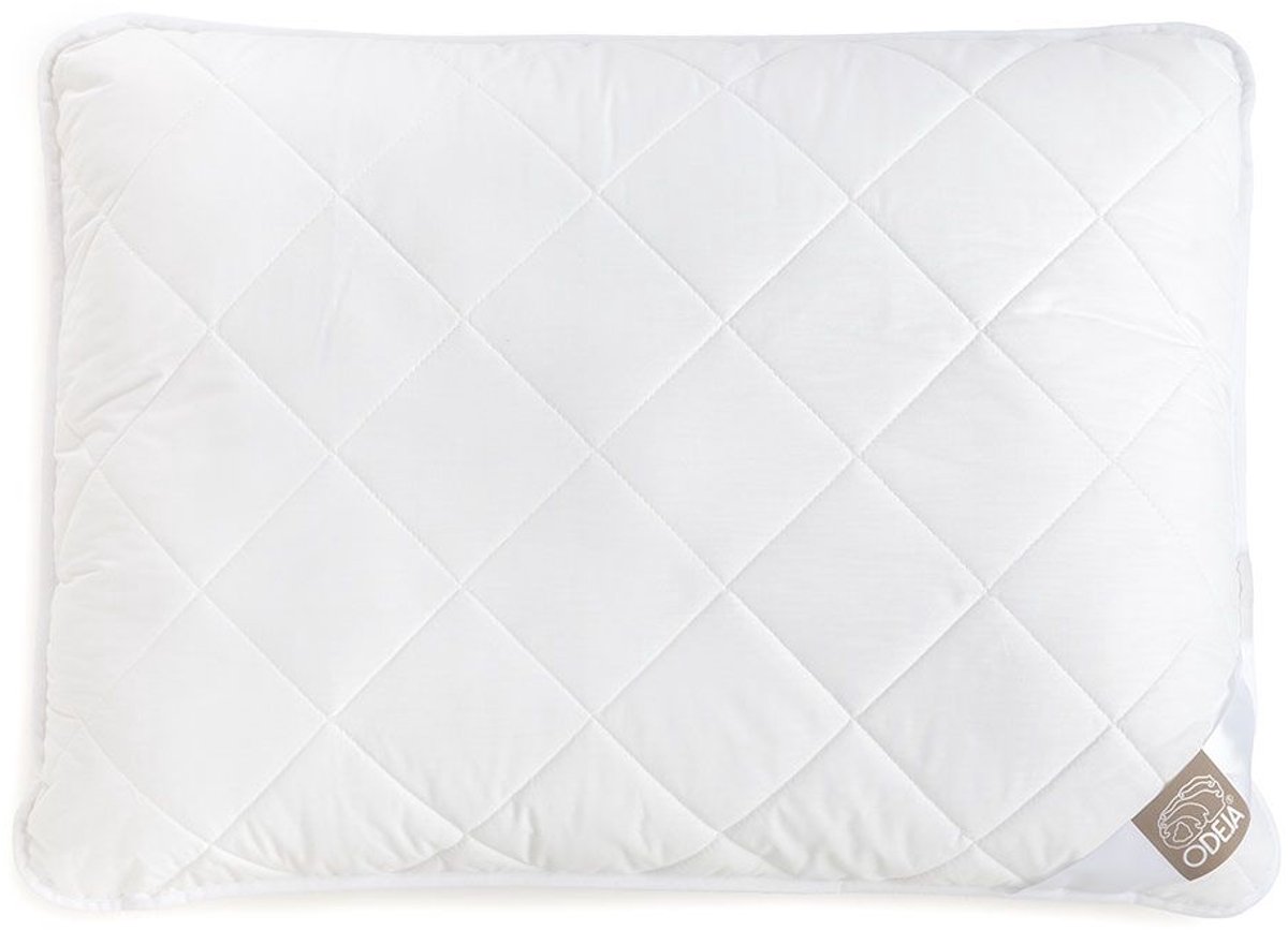 Relax Soft Kussen - Silk Heaven - 60x70cm