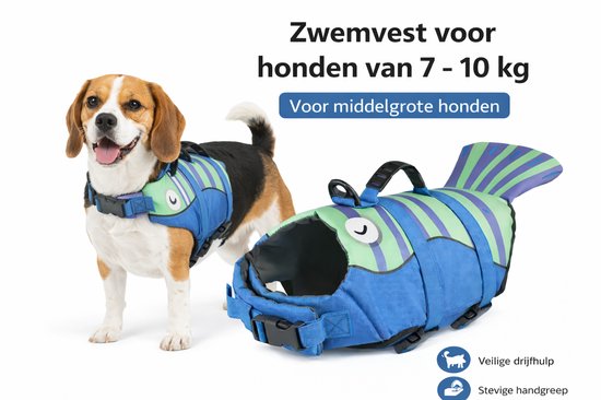 Beagle hond draagt een blauw en groen gestreept zwemvest in de vorm van een vis. Zwemvest met handvat, voor middelgrote honden van 7-10 kg.