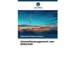 Umweltmanagement von KMU/KMI
