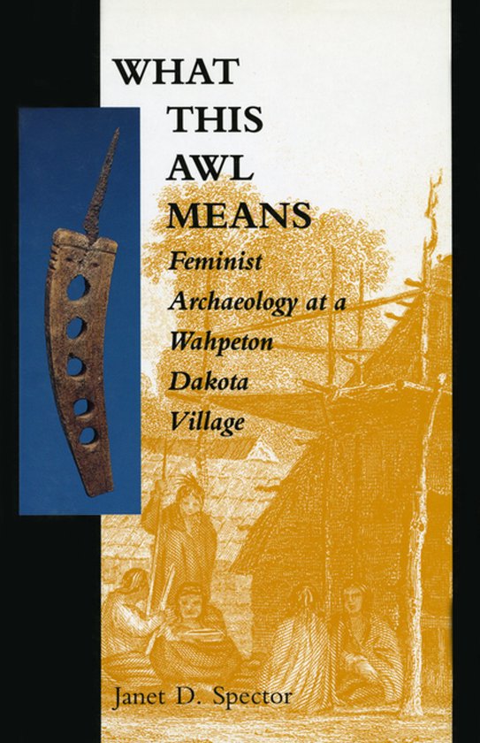 What This Awl Means - cover