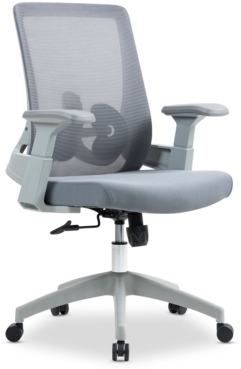 CAPVAL in hoogte verstelbare bureaustoel met lendensteun, grijs - ergonomische bureaustoel met netrugleuning, moderne bureaustoel, comfortabele bureaustoel voor thuis [tot 120 kg]