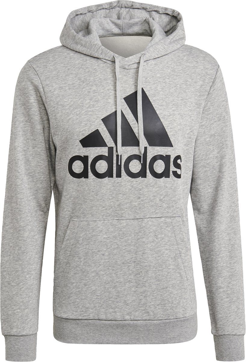 Adidas Sportswear Essentials Big Logo Hoodie Heren Grijs