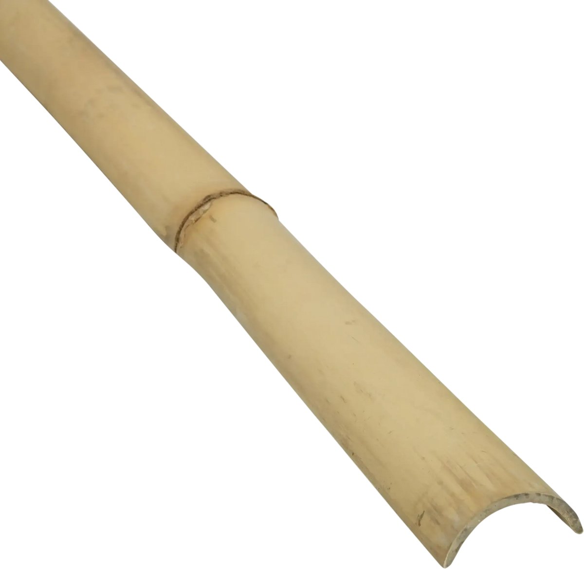 Masters of Bamboo® Halfronde Bamboepaal Tali - 300 cm - Ø 6-8 cm