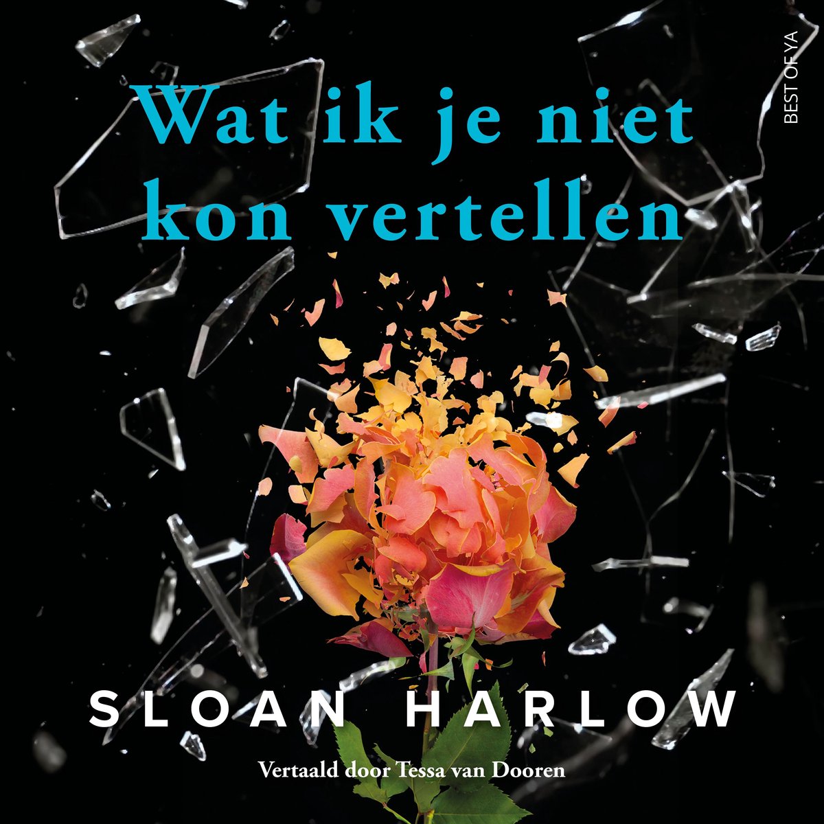 Wat Ik Je Niet Kon Vertellen