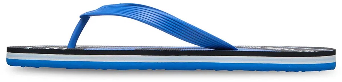 Quiksilver Molokai Screen Slippers Man Blauw