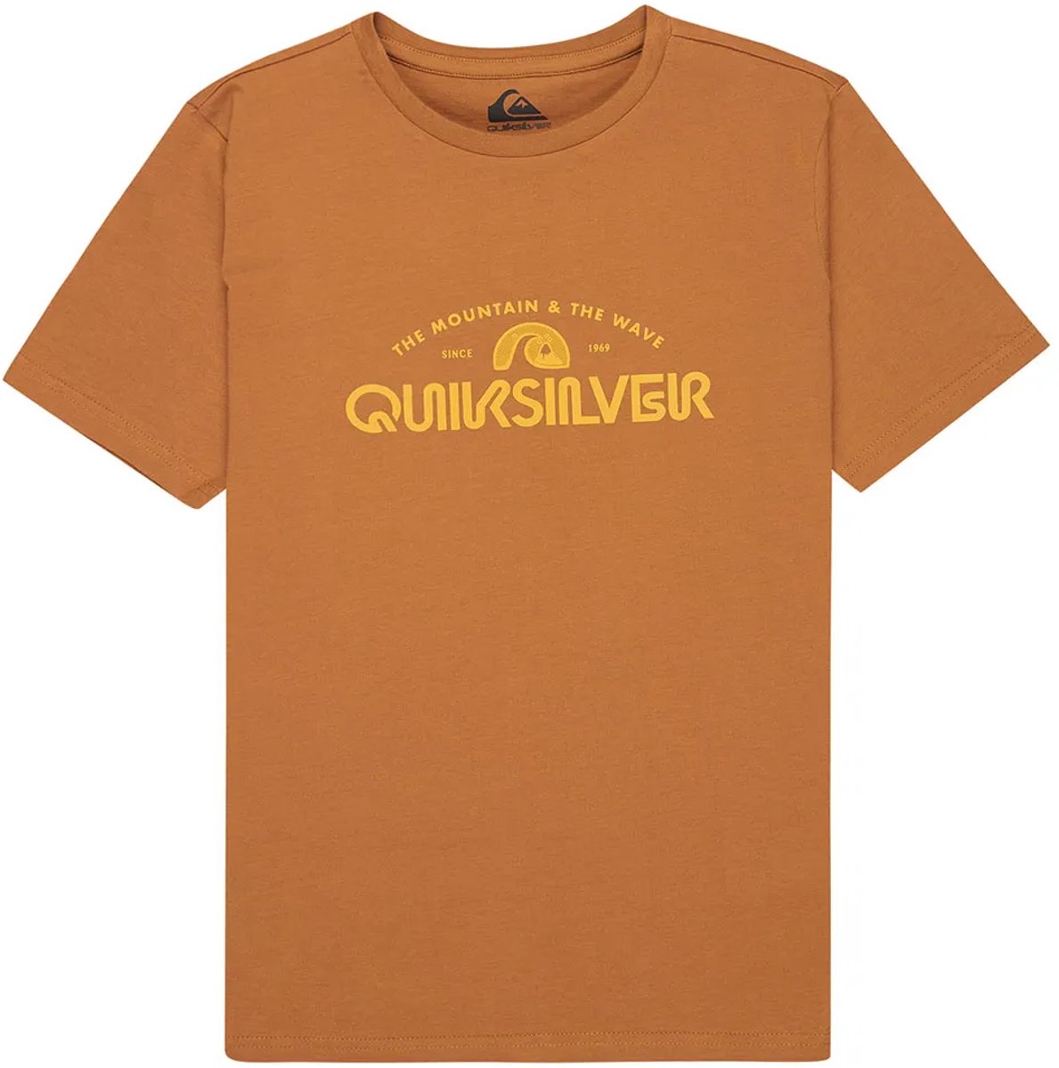 Quiksilver Ev Corpo Classic T-shirt Met Korte Mouwen 14 Years Jongen Bruin