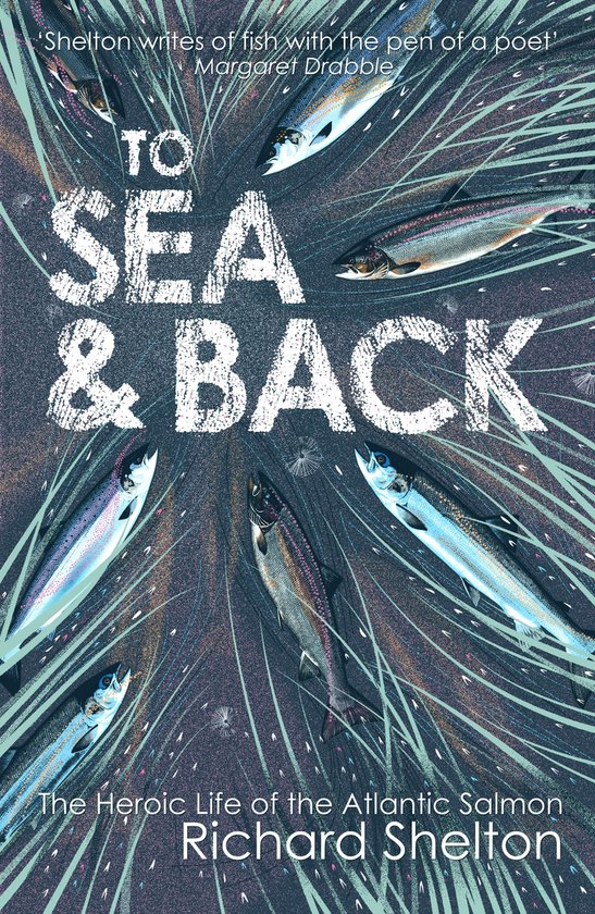 To Sea And Back - cover