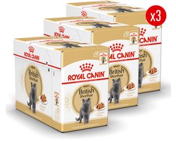 Royal Canin British Shorthair Adult Wet - 36 x 85 g - Katten Natvoer - Voordeelverpakking