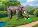Grijze olifant met slagtanden die een boomstronk aanraakt in een natuurlijke omgeving met water en bergen.