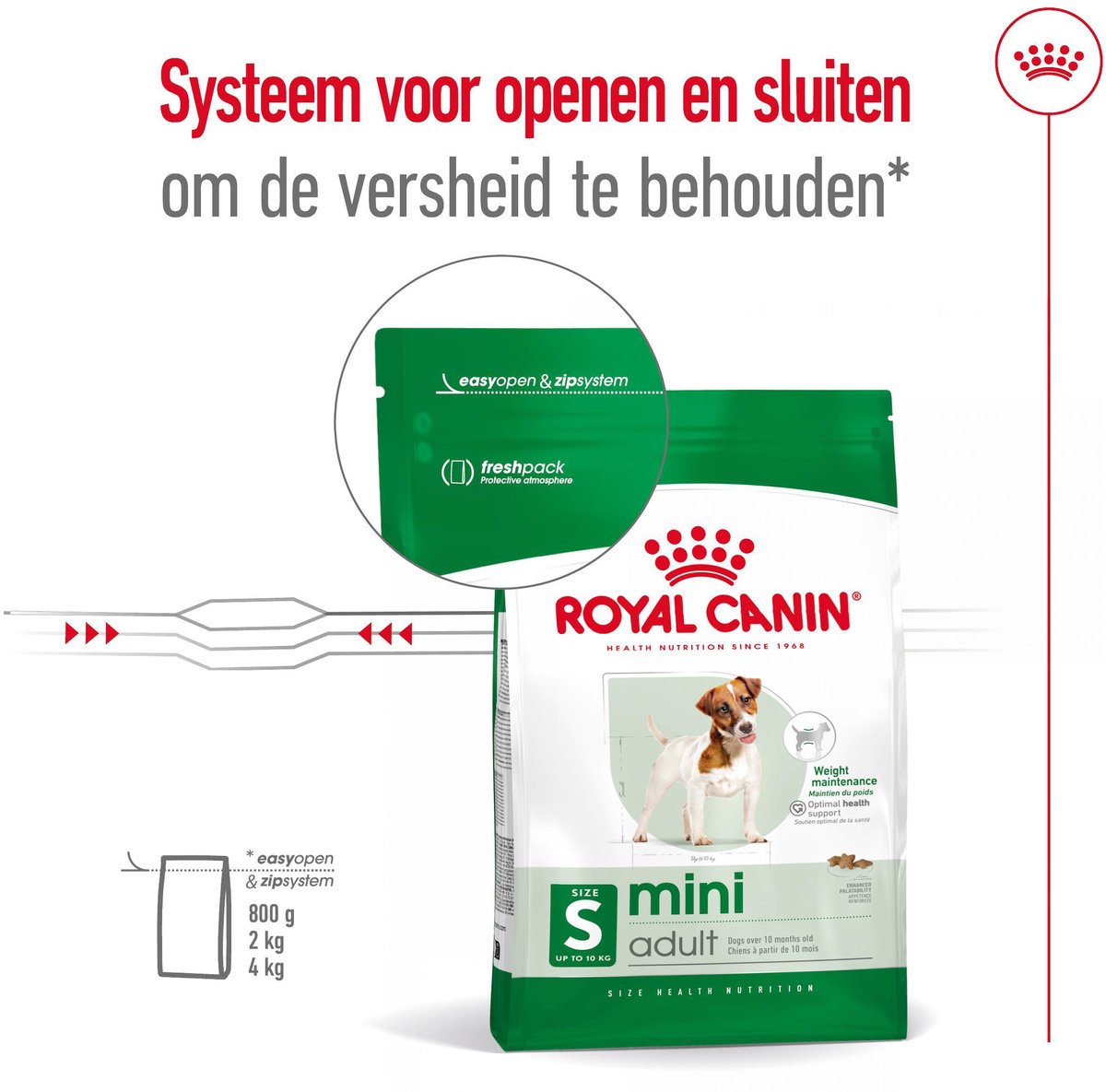 Royal Canin Mini Adult hondenvoer 3 x 2 kg thumbnail 2