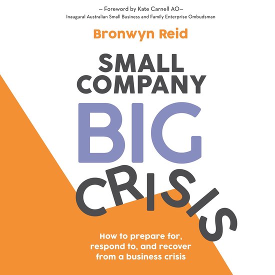 Small Company Big Crisis - cover
