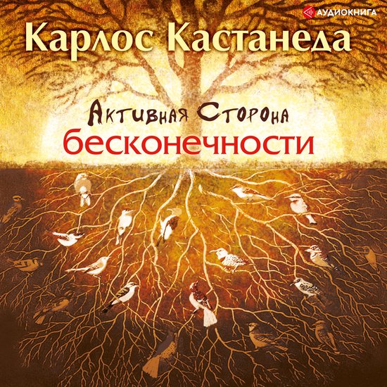 Активная сторона бесконечности - cover