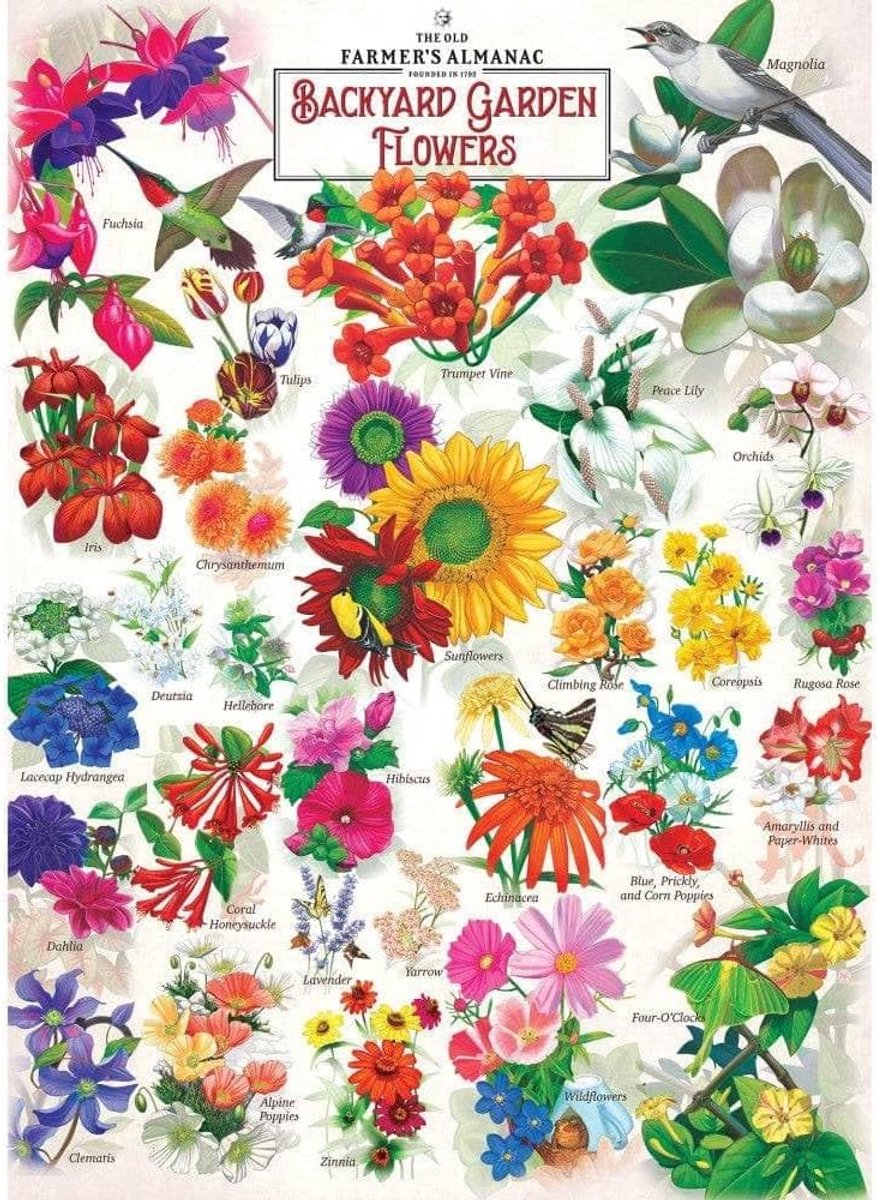 1000 Stukjes Puzzel - Volwassen Puzzel - Ontspanning Thuis - Gedetailleerd Boer Almanak - 49 x 68 cm - Meerkleurig
