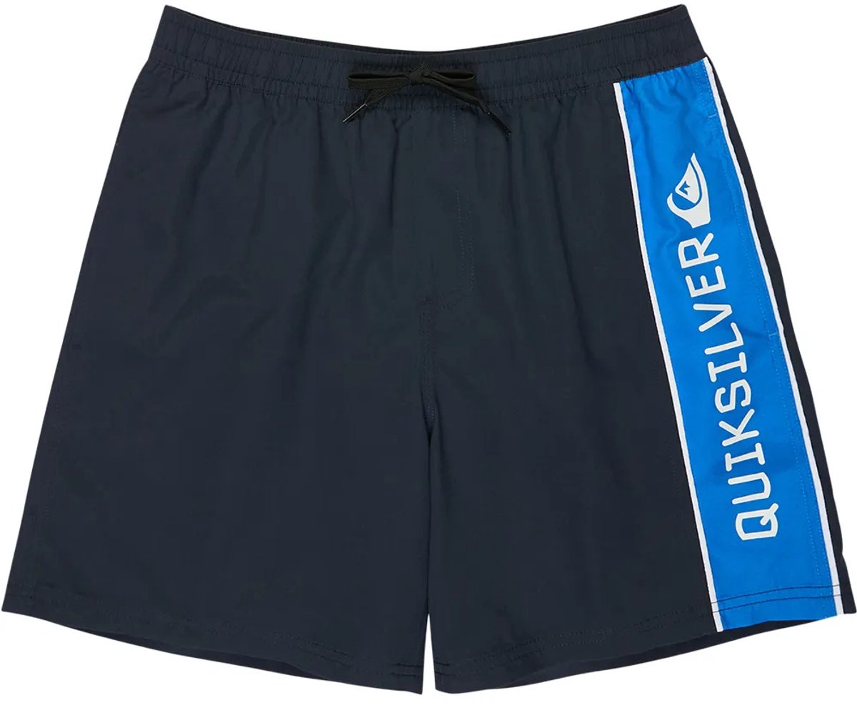 Quiksilver Everyday Clicker Volley 17´´ Zwembroek 2XL Man Blauw