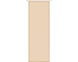 Paneelgordijn Transparant - Raamdecoratie Voile - Decoratief Element - Lichte Kleuraccenten - 60x245 cm - Beige