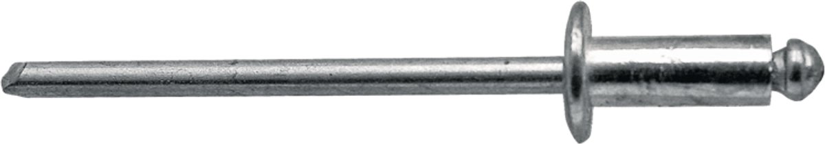 Blister - Nieten - 4mm - Hoogwaardige Kwaliteit - DIN 88402