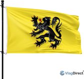 Gele vlag met een zwarte leeuw met rode nagels, op een paal.