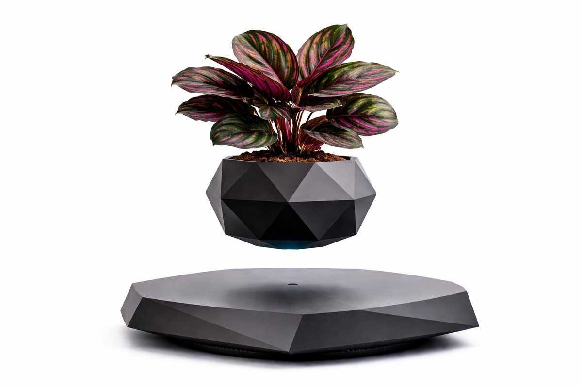 House of Balance Flotix Plantenpot - Magnetische plantenpot - Bloempot Zwevend - 360° Rotatie - Magic Deco - Zwart - Cadeau Tip