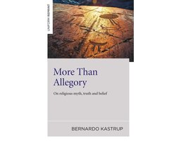 Omslag van More Than Allegory