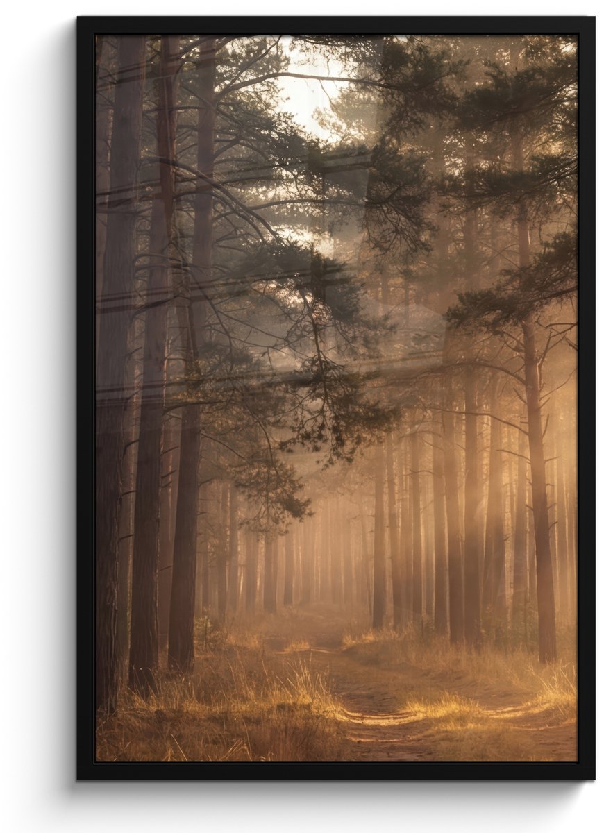 FrameYourWall Poster in lijst - Fotolijst 60x90 cm - Posters - Bos - Mist - Zonlicht - Posterlijst zwart - Decoratie - Wanddecoratie woonkamer - Muurdecoratie slaapkamer