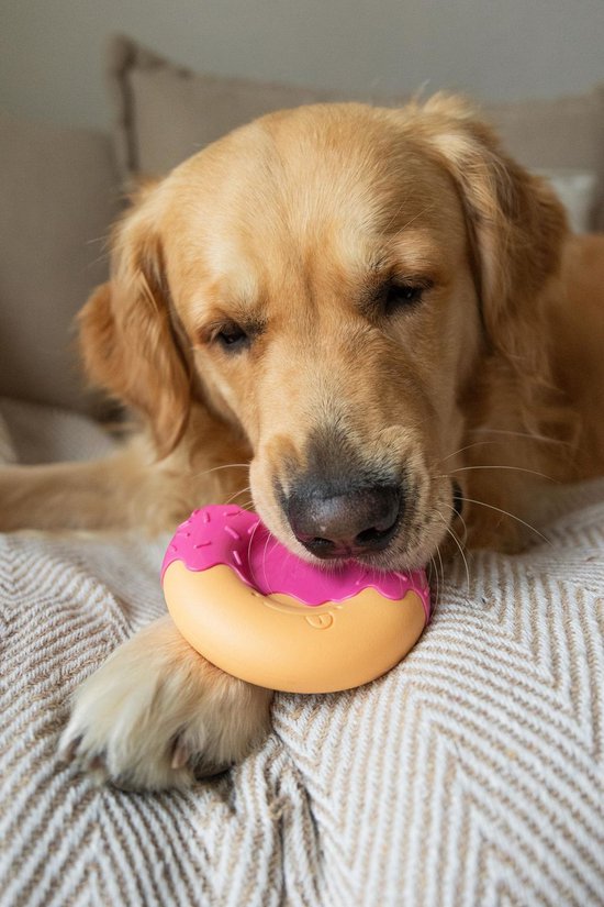 Golden Retriever hond kauwt op roze en bruine Nylabone donut speelgoed.