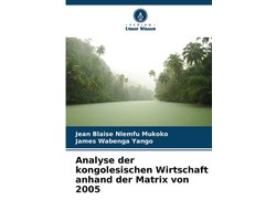 Analyse der kongolesischen Wirtschaft anhand der Matrix von 2005