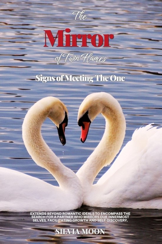 The Twin Flame Journey-The Mirror of Twin Flames - cover