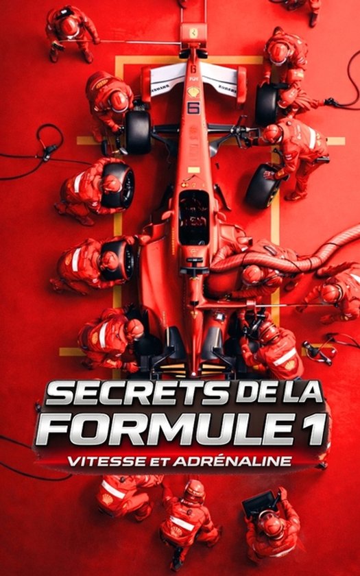 Secrets de la Formule 1 - cover