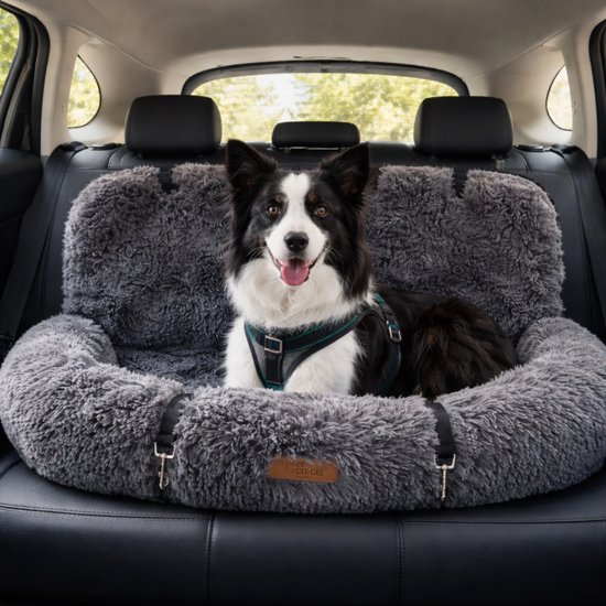 Bordercollie in een donkergrijs, pluizig autostoeltje met halsband en riempje.