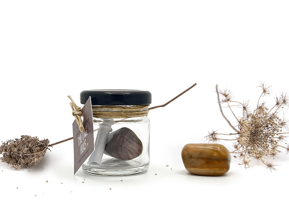 Potje voor je nieuwe huis - Versteend Hout | edelsteen cadeau voor bescherming, geborgenheid & positiviteit