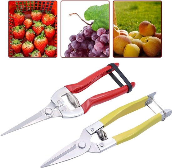 Snoeischaar voor Planten: Handige Micro-Tip Schaar voor Tuinieren en Snoeien van Fruit, Groente en Planten - Inclusief Blad Trimmer - Ideaal voor Bonsai en Heggenschaar Gebruik — afbeelding 2