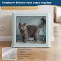 Grijze Britse Korthaar kat staat in de lichtblauwe opvouwbare kattenbak. Hoge wanden voorkomen lekken.