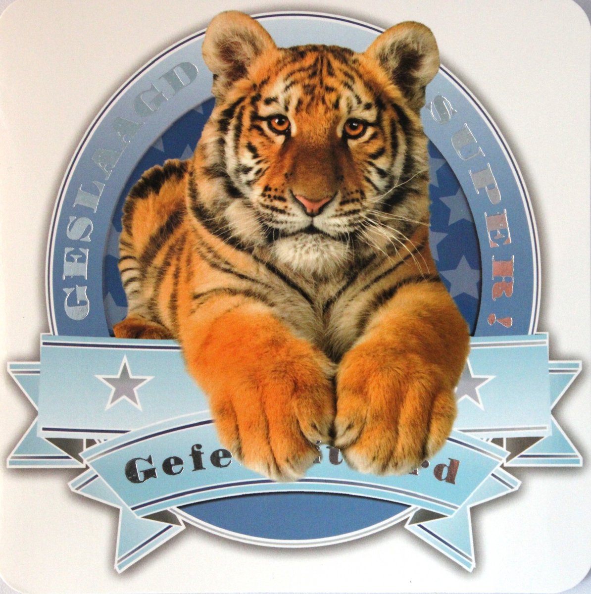 6 Luxe Geslaagd Wenskaarten - Kaart Wens Kaart Examen Geslaagd School Studie Opleiding - Tijger Super Geslaagd Gefeliciteerd - Vierkant 14x14cm Rood Wit Blauwe Envelop - Art of Cards - Gratis Verzonden - Hoge Afnamekortingen