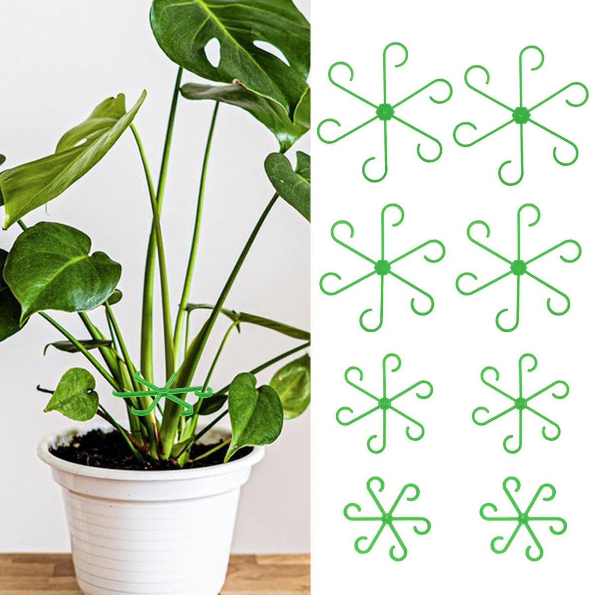 Famanu – Herbruikbare plantensteunringen, set van 8 vaste plantenhouders voor monstera, hortensia, rozen en tomaten