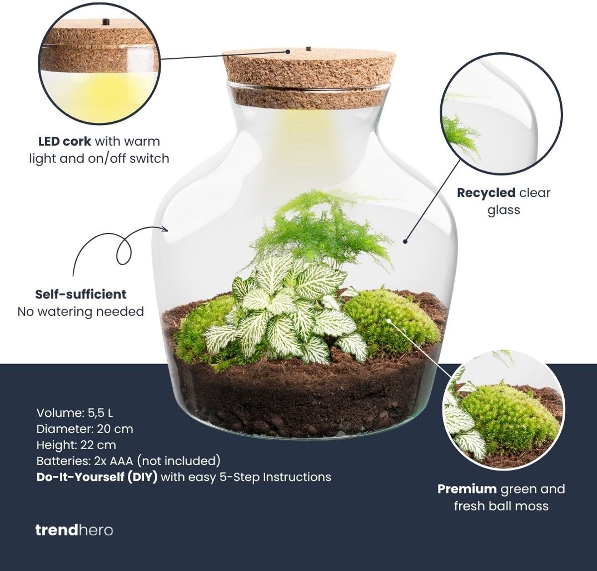 Terrarium DIY Kit with LED lightning - Little Joe - Bottle Garden - ↑ 21.5 cm