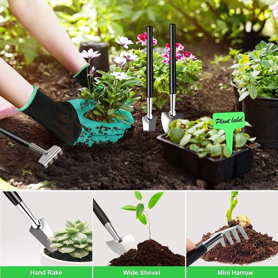Bonsai boomset 24-delige bonsai gereedschapset van hoogwaardig koolstofstaal, inclusief snoeigereedschap voor vetplanten. van Merkloos	 — afbeelding 4